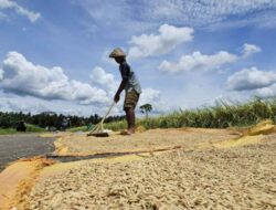 WFP: 45 Juta Orang Terancam Kelaparan, Indonesia Surplus Beras