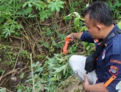 Polres Tanggamus Amankan Pelaku Penganiayaan Hingga Meninggal Dunia di Wonosobo