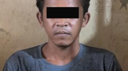 Buruh Tani Pelaku Penggelapan Motor Di Pringsewu, Ditangkap Polisi Saat Mudik