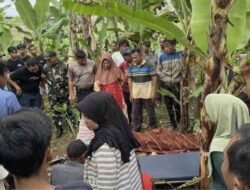 Polsek Pulau Panggung Identifikasi Dan Evakuasi Penemuan Mayat Di Pekon Tekad