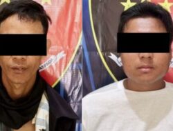 Polsek Way Pengubuan Ungkap Kasus Pencurian di Perkebunan PT GGF