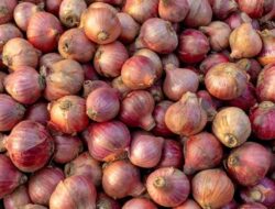 Pedagang di Pasar Gintung Beralih Jual Bawang Padang Karena Bawang Merah Brebes Mahal