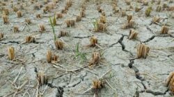 Hadapi Kemarau Panjang, BPBD Lampung Ingatkan Warga Kelola Stok Air Bersih