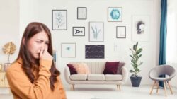 10 Cara Efektif Mengusir Bau Tak Sedap Di Ruang Tamu