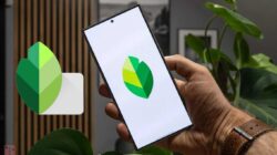 Snapseed: Aplikasi Edit Foto Powerhouse di Genggaman Anda