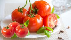 Tomat, Si Merah Kecil dengan Segudang Manfaat untuk Kesehatan