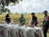 Hingga Mei 2026, BULOG Lampung Serap 369 Ribu Ton Gabah