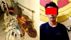 Polsek Seputih Mataram Bekuk Pencuri Tandan Sawit Milik PT GMP