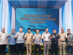 Tapioka Lampung Dominasi Pasar Ekspor Tiongkok hingga Selandia Baru