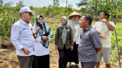 Kementan Perkuat Pengawalan Program dan Bantuan Pertanian Melalui BRMP di 38 Provinsi
