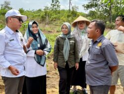 Kementan Perkuat Pengawalan Program dan Bantuan Pertanian Melalui BRMP di 38 Provinsi