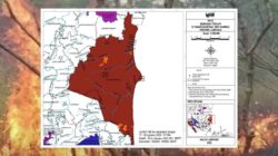 74 Titik Panas Terdeteksi Di Way Kambas, WALHI Lampung: Kebakaran Terus Berulang