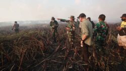 Tim Alfa TNI Diterjunkan Padamkan Karhutla Di Way Kambas