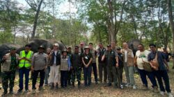 Tim ENP Thailand Tinjau Pembangunan Way Kambas, Dorong Konservasi Gajah dan Pariwisata
