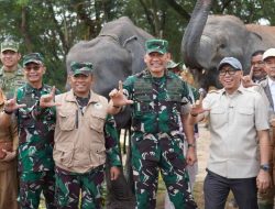 Way Kambas Berbenah, Pagar Besi Hingga Budidaya Lebah Dipasang Untuk Cegah Konflik Gajah