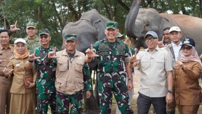 Way Kambas Berbenah, Pagar Besi Hingga Budidaya Lebah Dipasang Untuk Cegah Konflik Gajah