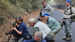 Komunitas Desa Kembangkan Bird Watching di Way Kambas, Pemda Beri Dukungan Penuh