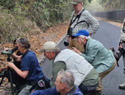 Komunitas Desa Kembangkan Bird Watching di Way Kambas, Pemda Beri Dukungan Penuh