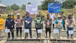 PHE OSES Dan Pemkab Lamtim Kembangkan Demplot Mangrove Di Labuhan Maringgai Untuk Tekan Risiko Abrasi Dan Banjir Rob
