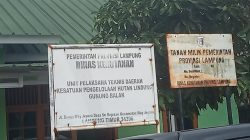 Polhut Sibuk, Penanganan Kayu Register 38 Gunung Balak Tunggu Petunjuk Pimpinan